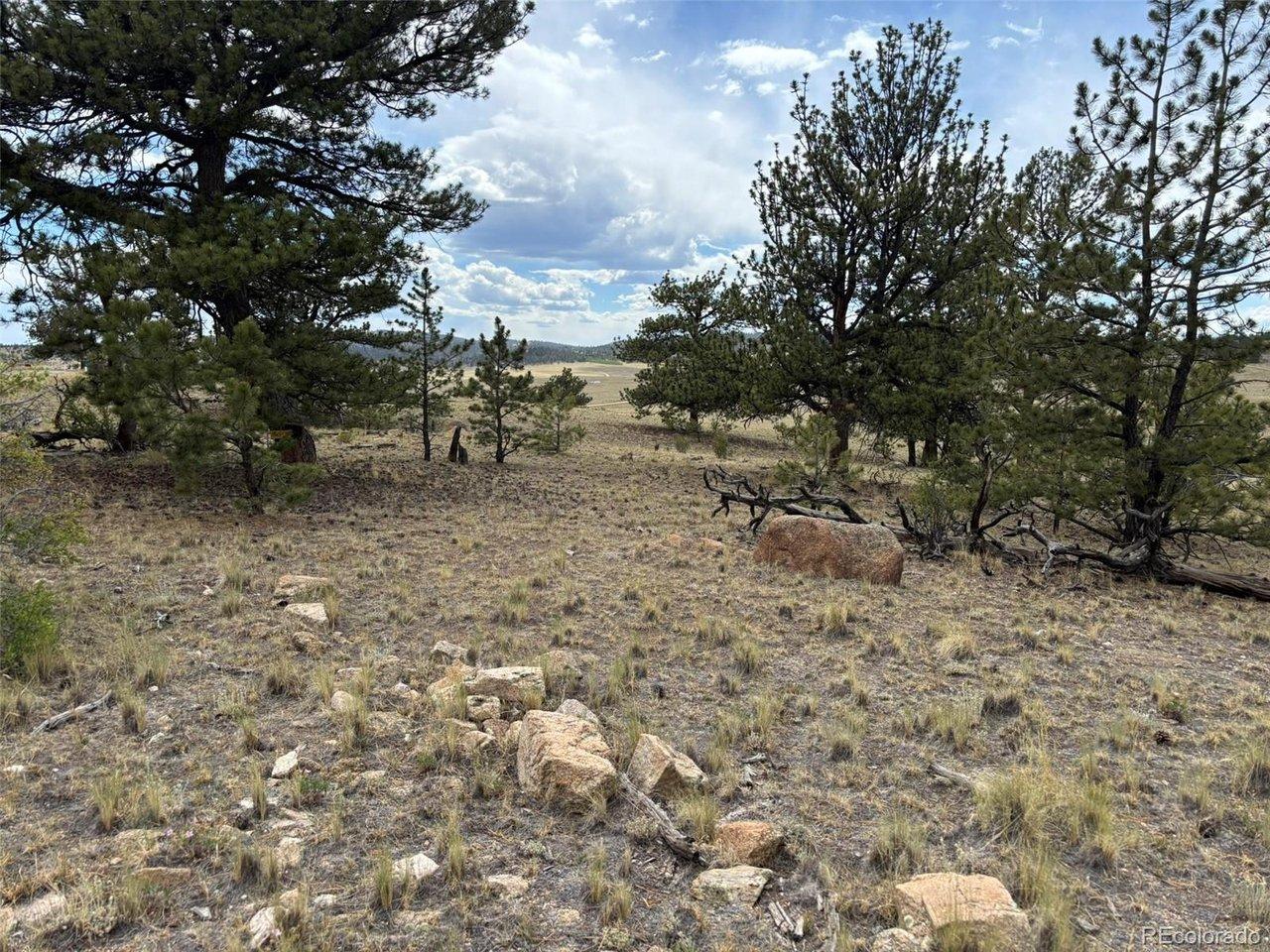 Image 4 Image 4