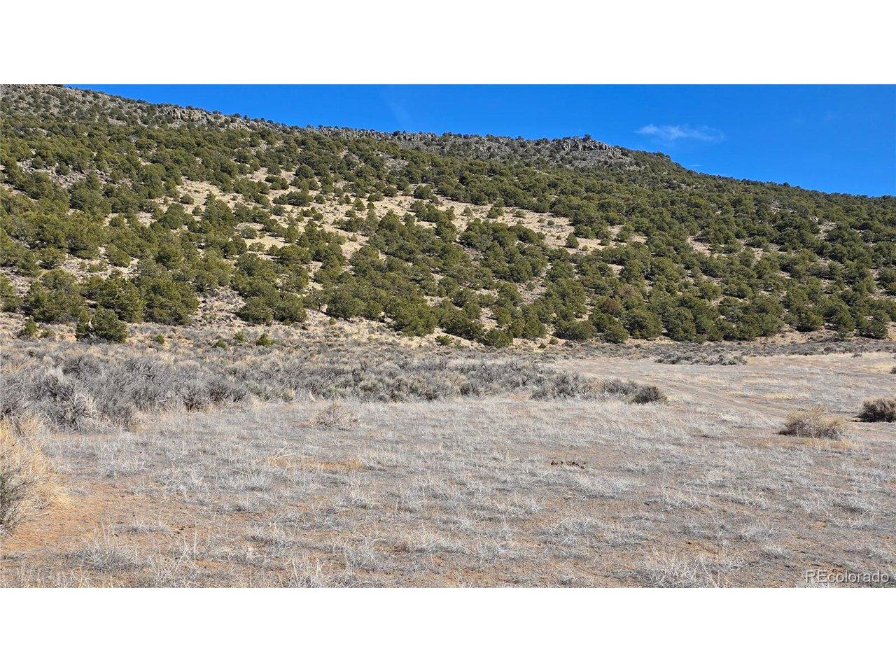 Image 4 Image 4