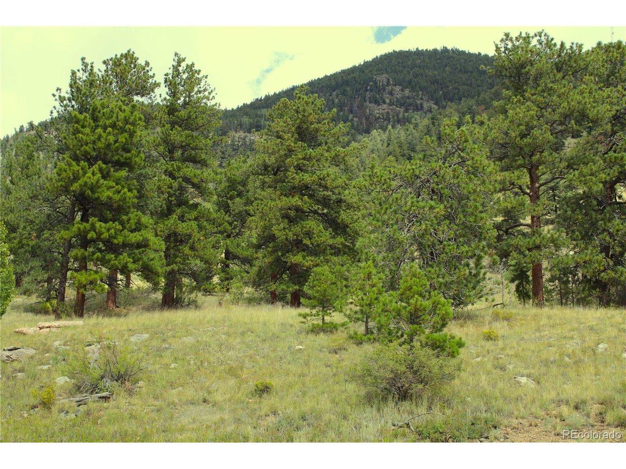 Image 4 Image 4