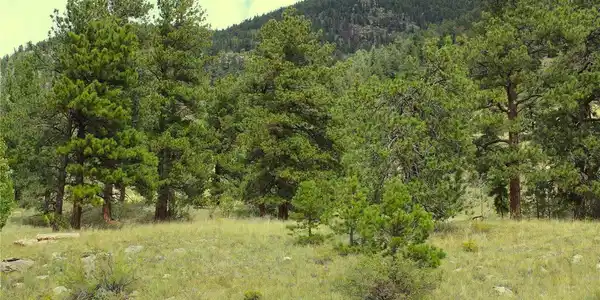 Image 4 Image 4