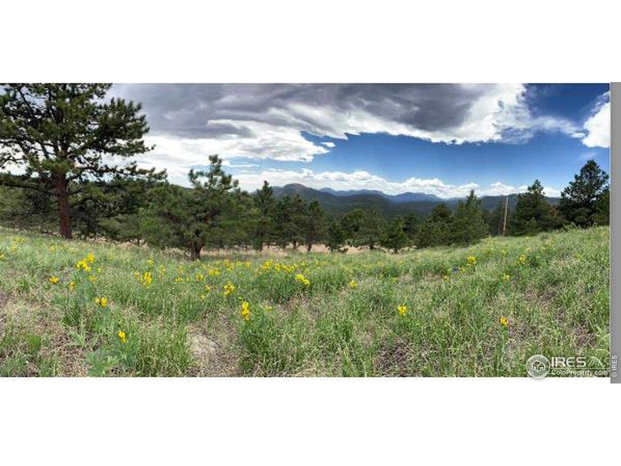 Image 2: Mountain meadows
