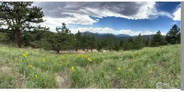 Image 2: Mountain meadows