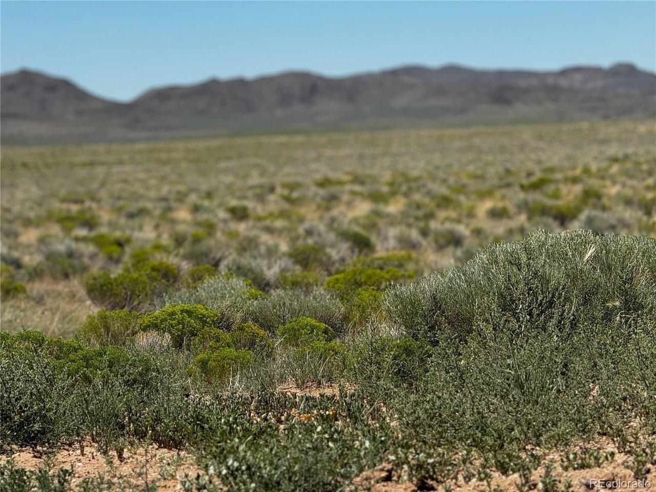 Image 3 Image 3