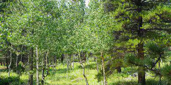 Image 2: Picnic time is just around the corner! Image 2: Picnic time is just around the corner!
