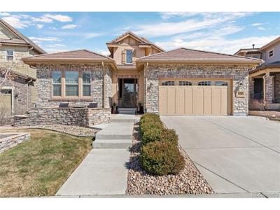 10662 Skydance Dr