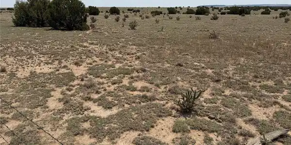 Image 2 Image 2