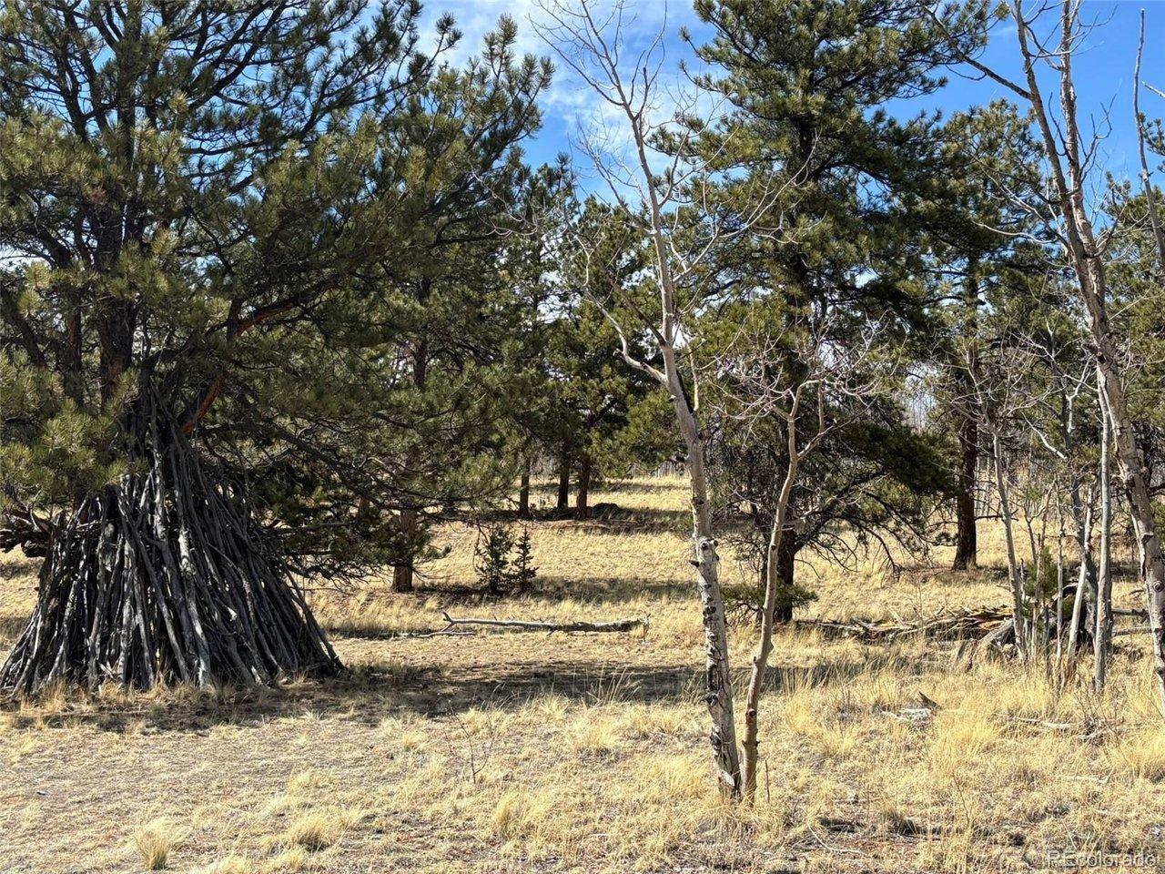 Image 3 Image 3