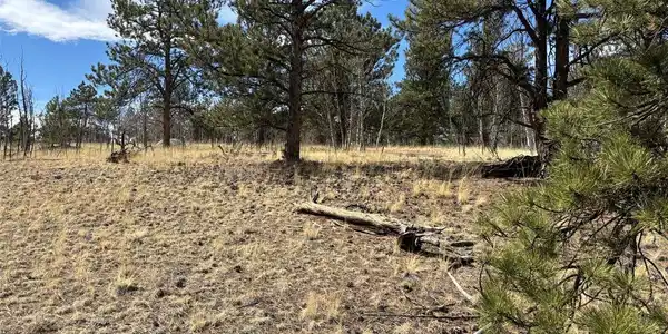 Image 4 Image 4