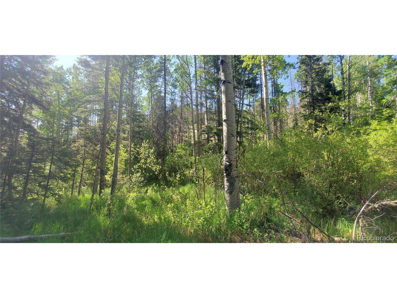 Image 3 Image 3