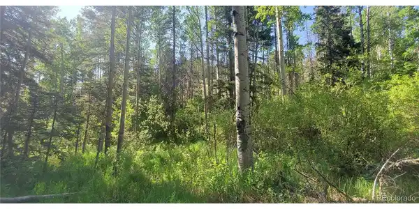 Image 3 Image 3