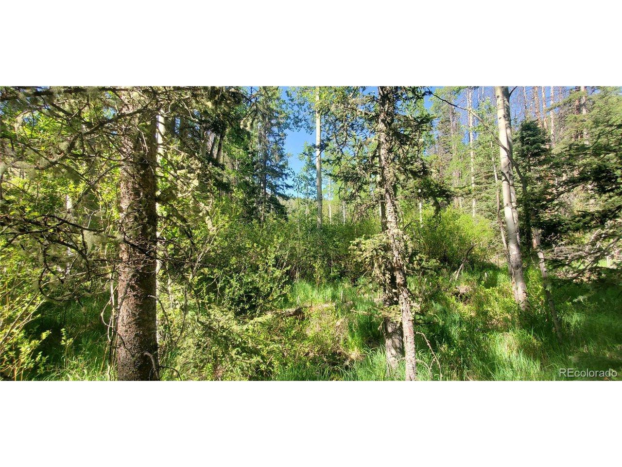Image 4 Image 4