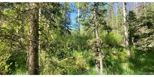 Image 4 Image 4