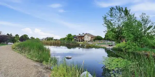 Image 3: Fishing pond: Private stocked fishing pond with peaceful water views.