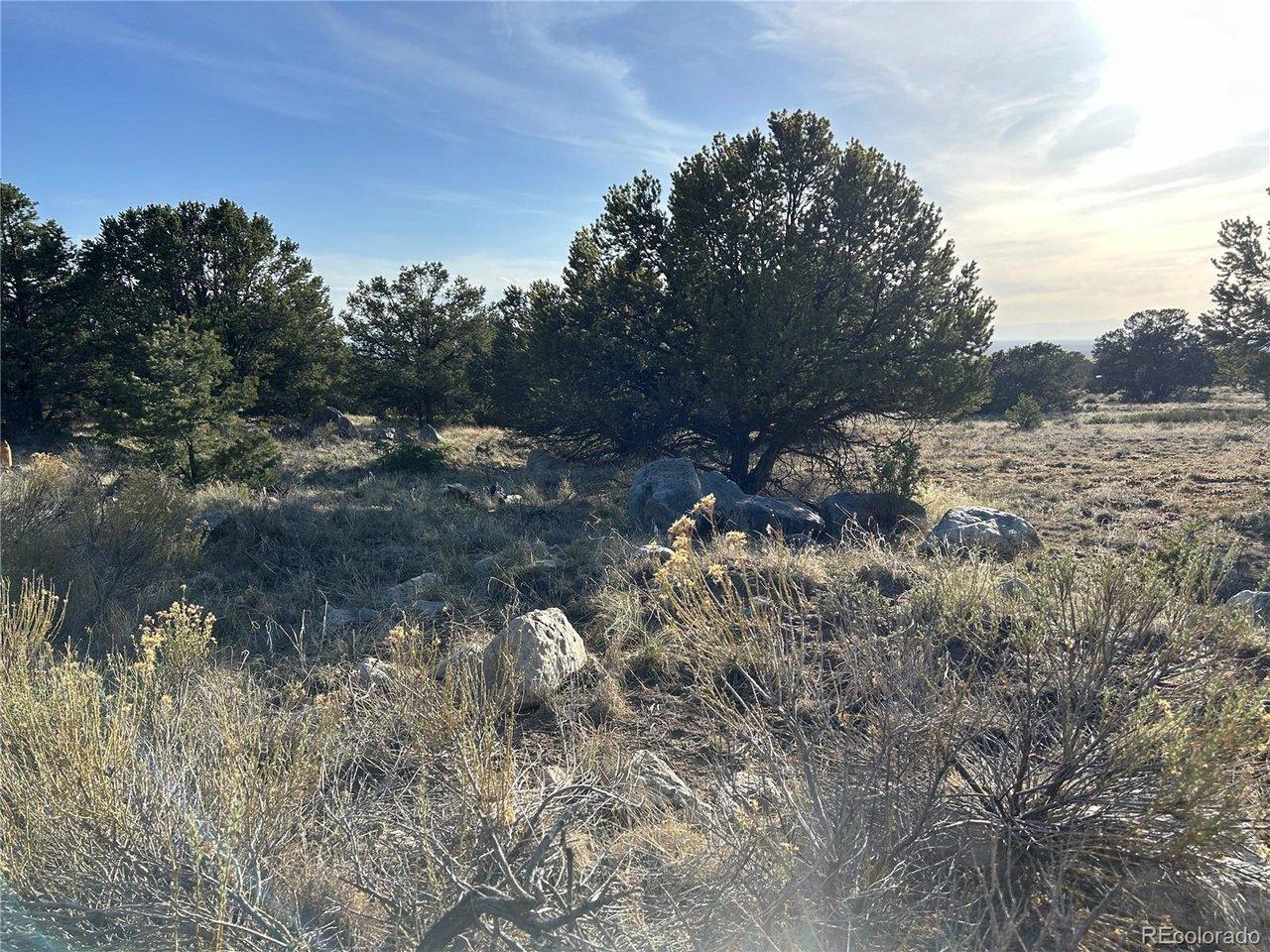 Image 4 Image 4
