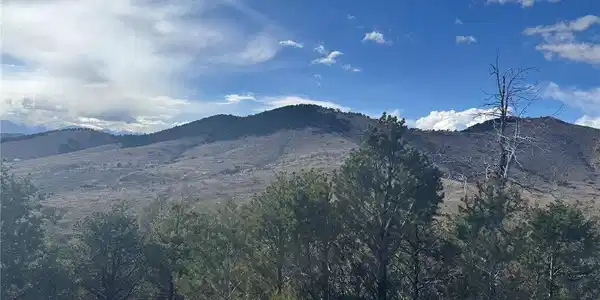 Image 4 Image 4