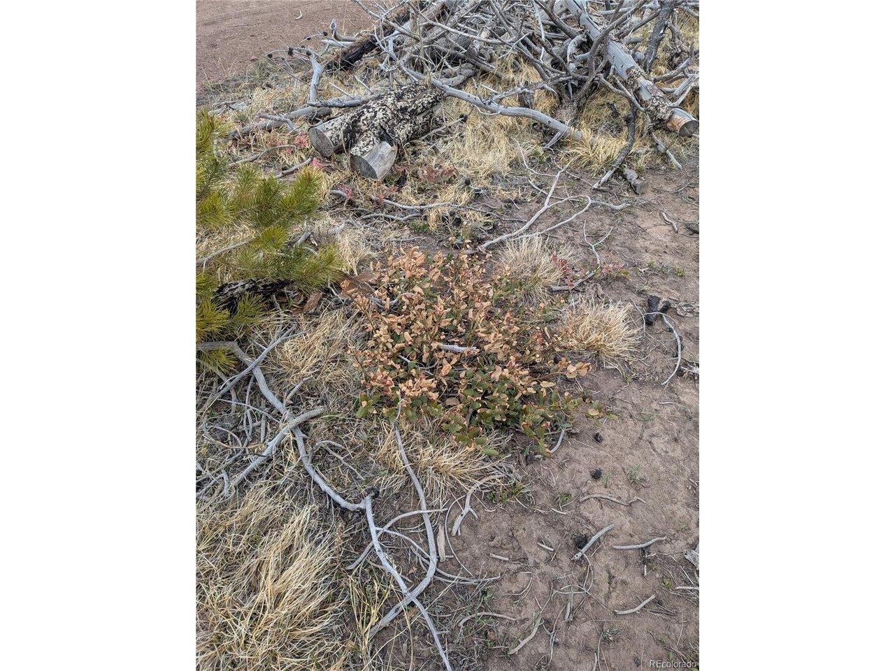Image 4 Image 4