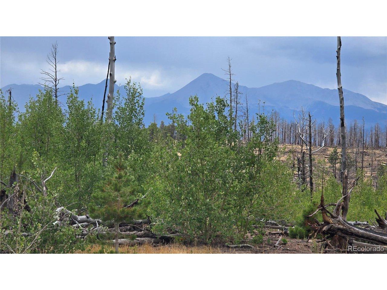 Image 1 Image 1