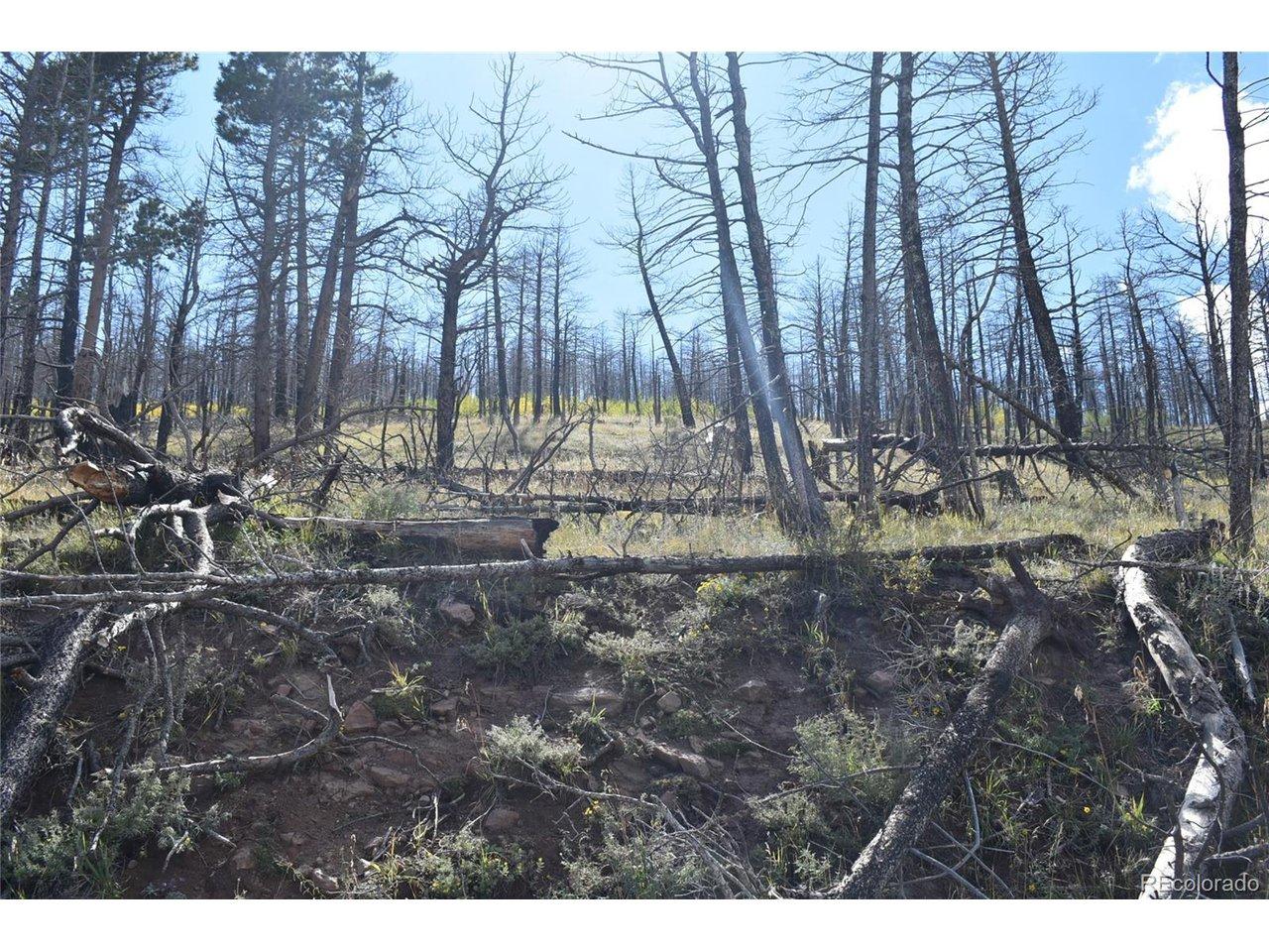 Image 4 Image 4