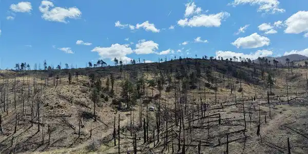 Image 4 Image 4