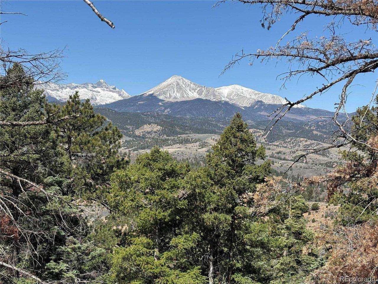 Image 4 Image 4
