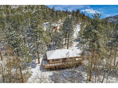 11710 Spruce Canyon Cir