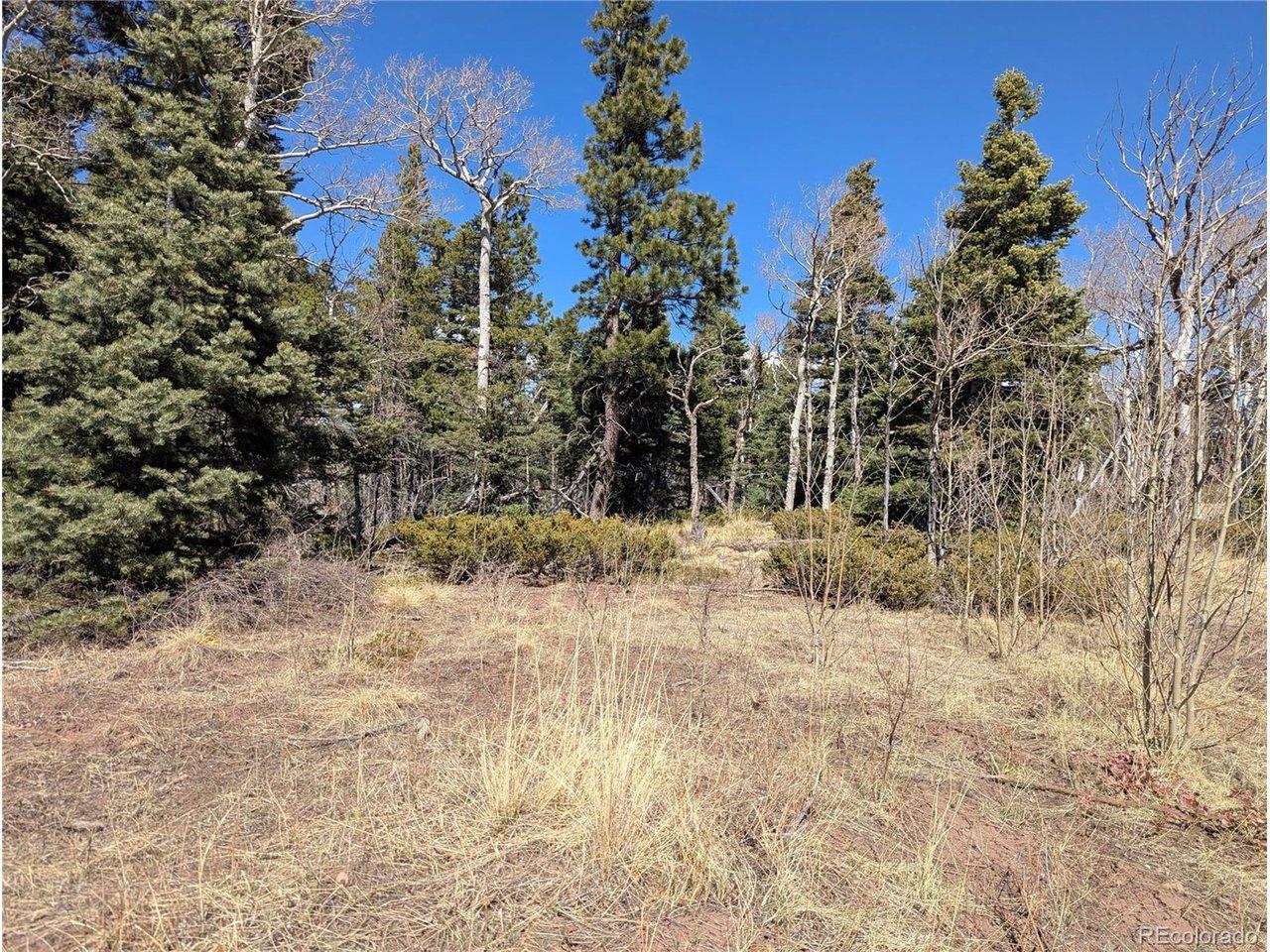 Image 4 Image 4