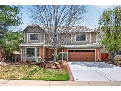 173 Willowleaf Dr
