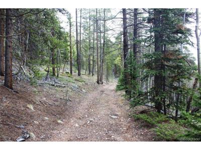 0 Broomfield Gulch Rd