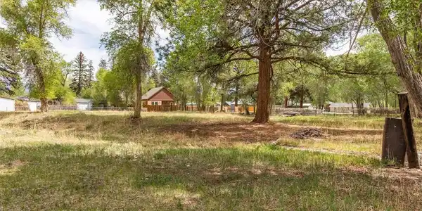 Image 3: Wooded level lot with a seasonal ditch. Image 3: Wooded level lot with a seasonal ditch.