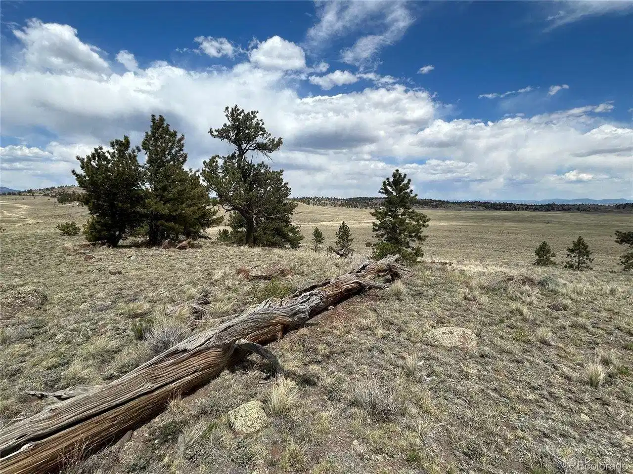 Image 1: Property Has Character