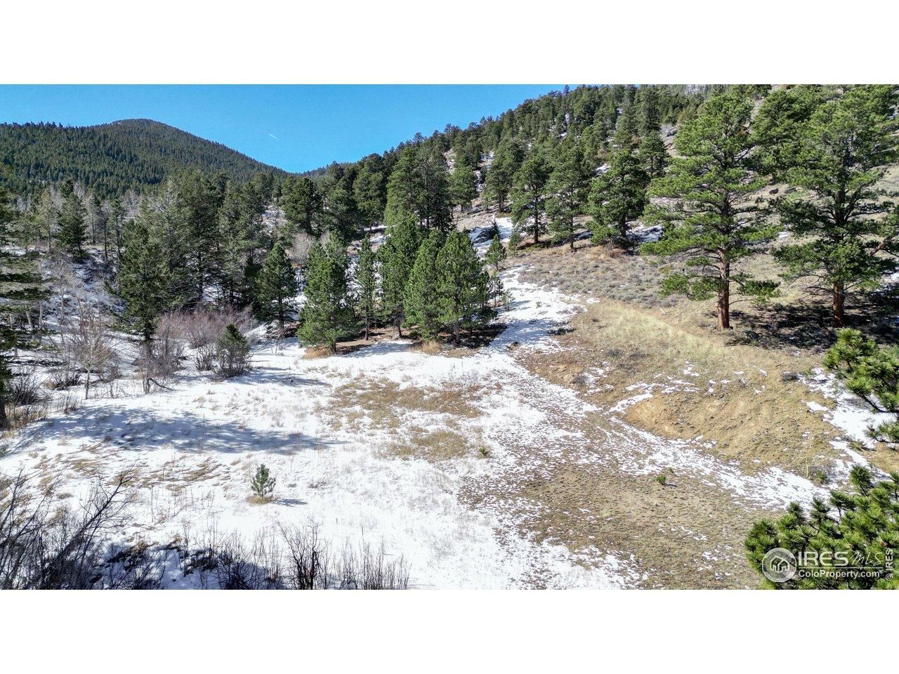 Image 4: Rolling property surrounded by tress and rock out-croppings plus a large building envelope Image 4: Rolling property surrounded by tress and rock out-croppings plus a large building envelope