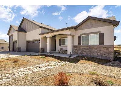 11180 Palmer Peak Pl