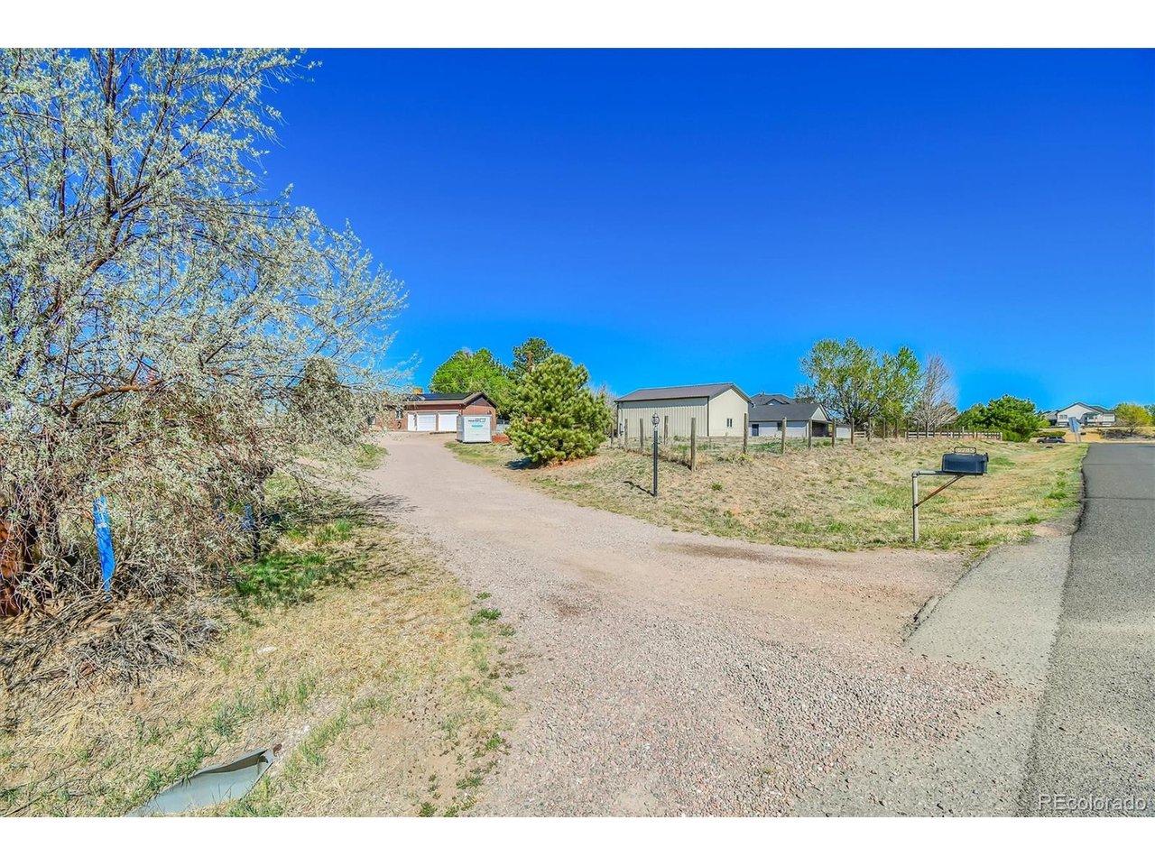 Image 3: Driveway leading to house with mature trees