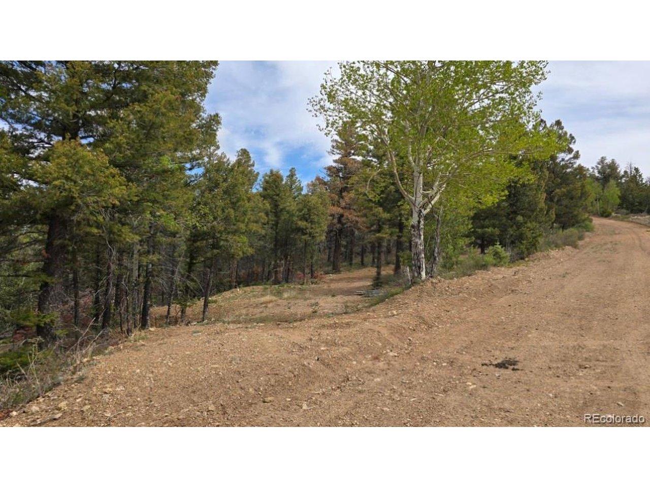 Image 1 Image 1