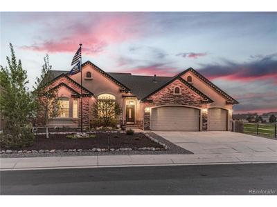 10862 Torreys Peak Way