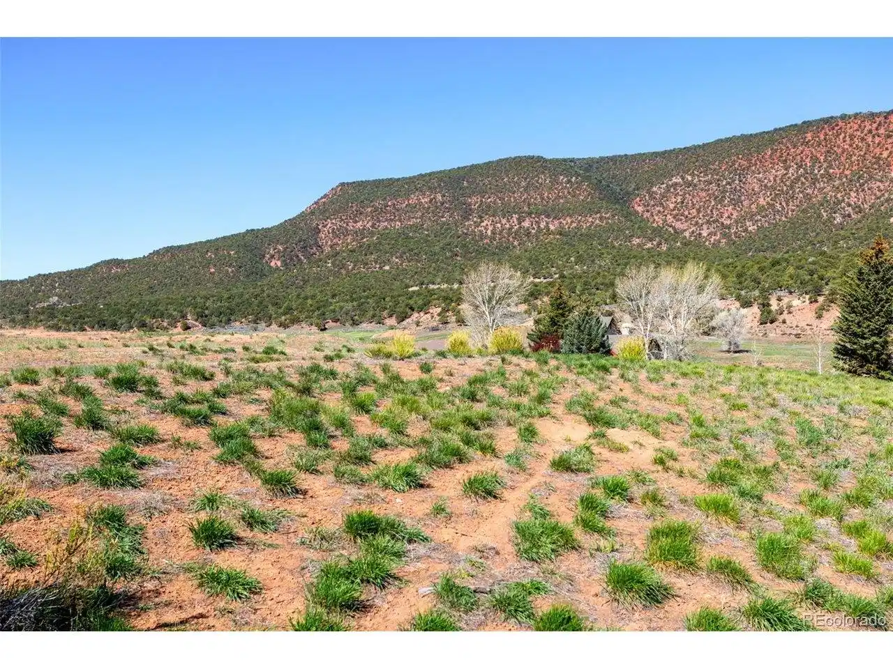 Image 1 Image 1