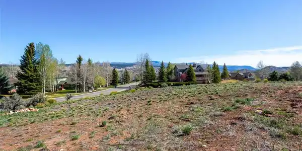 Image 4 Image 4