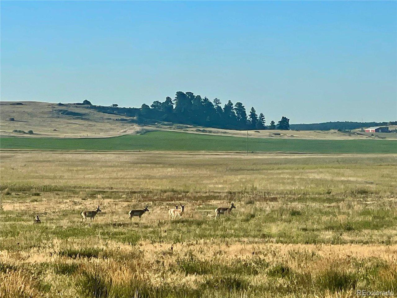 Image 1: Views to the North.