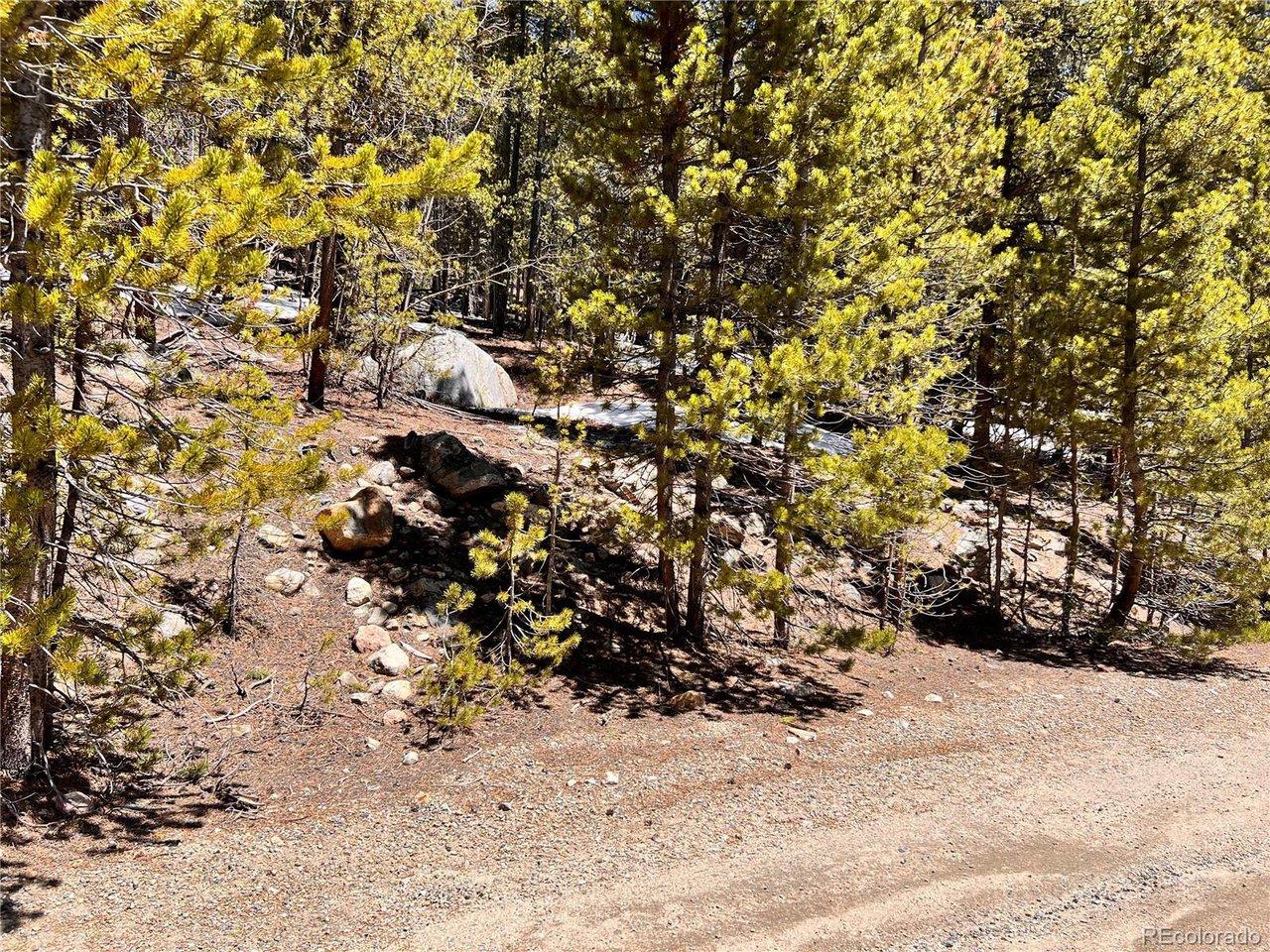 Image 3: Gentle slope onto the property, makes for an easy driveway