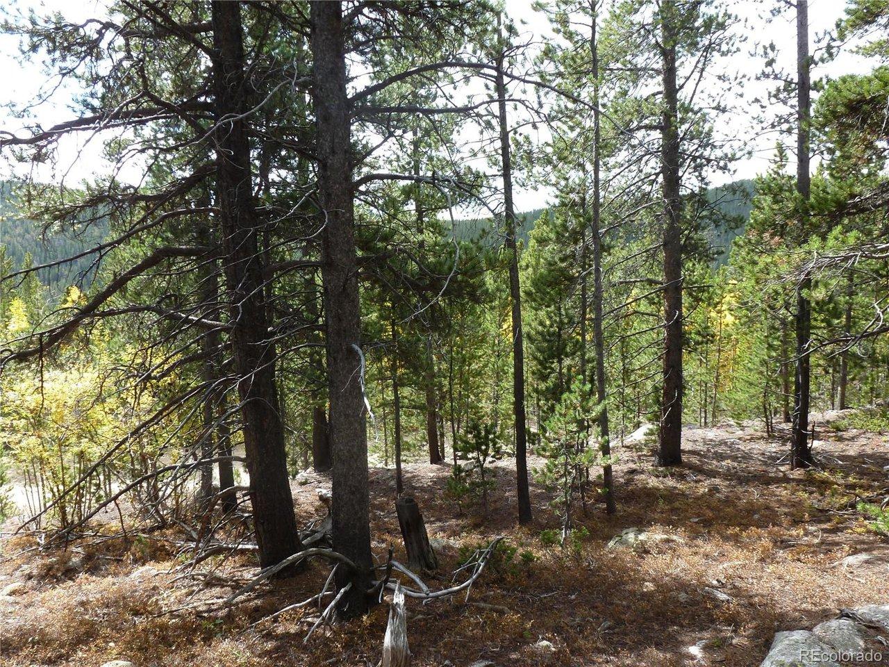 Image 4: Southern Views