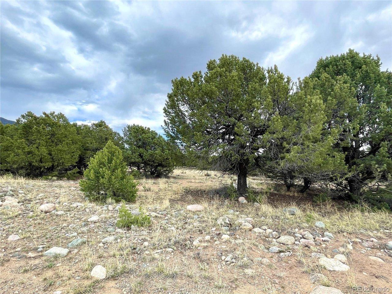 Image 4: Property with trees