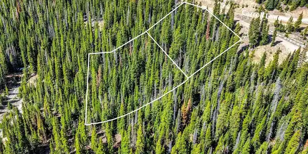 Image 4 Image 4