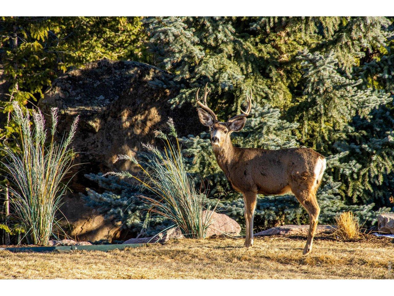 Image 3: Incredible Wildlife Image 3: Incredible Wildlife
