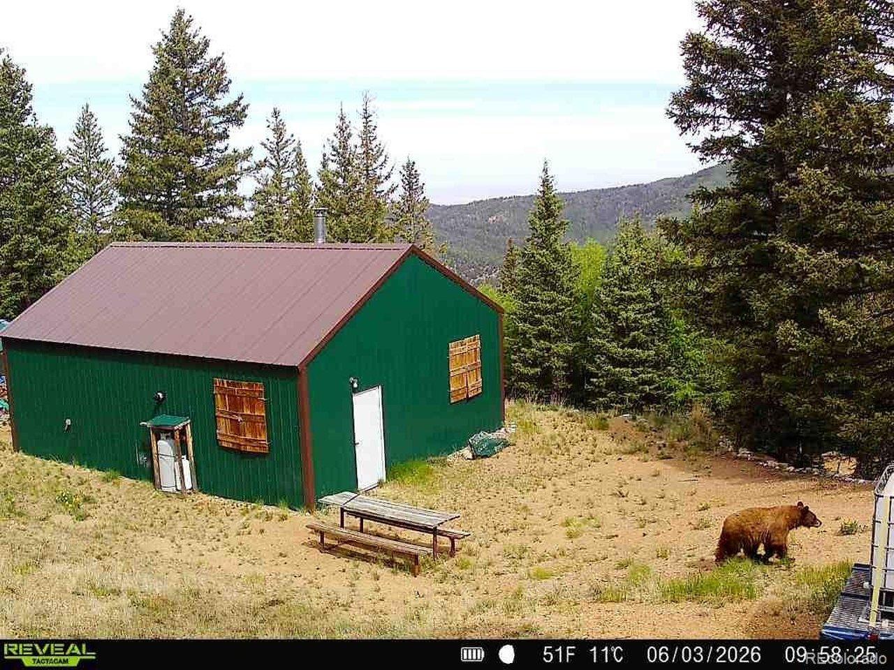 Image 1 Image 1