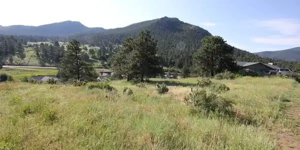 Image 3 Image 3