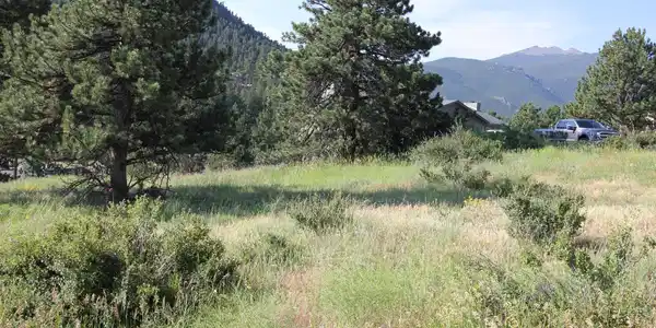 Image 4 Image 4