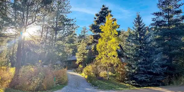 Image 3: Glorious colors all year round!