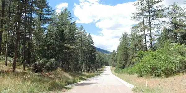Image 3 Image 3