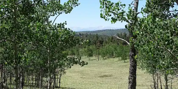 Image 3 Image 3