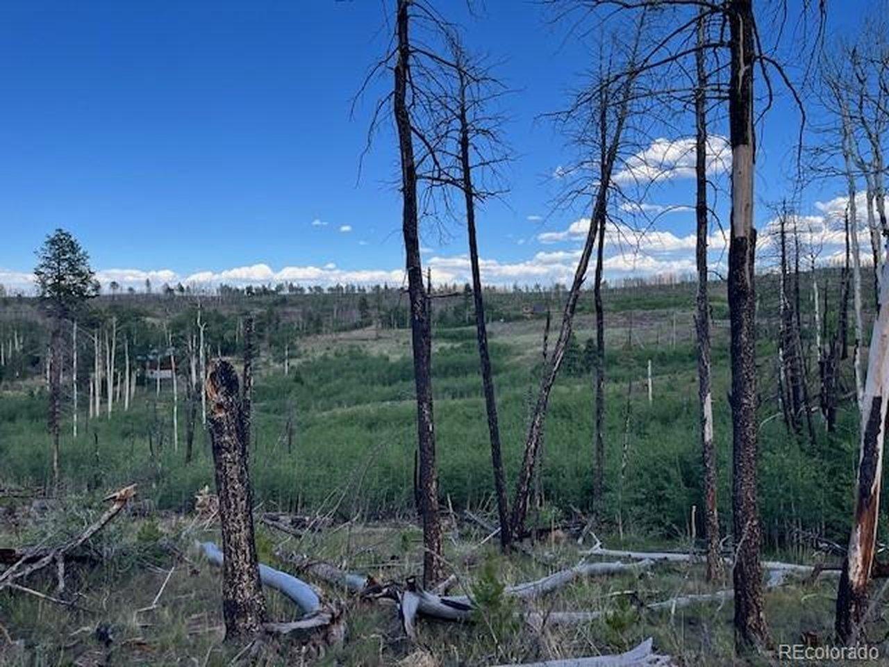 Image 3 Image 3